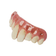 Trick or Treat Studios Pennywise Teeth