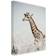 Estancia Giraffe Tavla 50x70cm