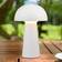 Trio Lighting Rechargeable Table Lamp 21.5cm