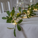 Star Trading Lummer Mistletoe Julbelysning