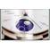 The Watch Book Rolex: Updated and Extended Edition (Indbundet, 2021)