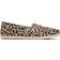 Toms Alpargata - Beige Classic Leopard