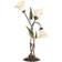 Euluna Miranda Bordslampa 70cm