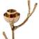 Polspotten Twiggy Candelabro 14cm