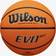 Wilson NCAA Evo NXT game