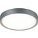 Trio Lighting Clarimo Grey Takplafond