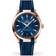 Omega Seamaster Aquaterra (220.52.41.21.03.001)