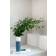 Villeroy & Boch Lave Vase 25cm