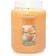 Yankee Candle Mango Ice Cream Scented Candle 624g