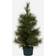 House Doctor HDPinus, Nature Christmas Tree 60cm