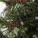 House Doctor Pinus Julgran 30cm