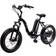 GoPowerBike GoCruiser Fat Tire Foldable Electric Bike Unisex