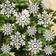 Snowflake Julgranspynt 3.4cm 36st