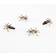 Saro Lifestyle Spider Napkin Ring 4pcs