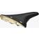 Brooks Cambium C17 Special