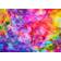 Colourful Abstract Oil Painting 1000 Pieces