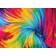 Enjoy Colorful Paint Swirl 1000 Pieces