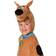 Ciao Scooby-Doo Kostume