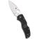 Spyderco Native 5 G-10 Fickkniv