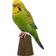 Wildlife Garden DecoBird Dekorationsfigur 15.1cm