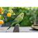 Wildlife Garden DecoBird Dekorationsfigur 15.1cm