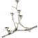 Polspotten Twiggy squirrel Ljusstake 30cm