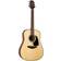 Takamine GLD12E-NS