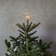 Star Trading Tree Top Star Firework Julgransbelysning 120 Lampor