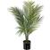 Mr Plant Mountain Palm Kunstig plante
