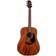 Takamine GLD11E