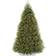 National Tree Company 9 ft. Pre-Lit Dunhill Fir Hinged Artificial Christmas Tree 108"