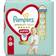 Pampers Premium Care Pants Size 6 15+kg 31pcs