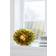 Tadé Kluster Grape Green Table Lamp 24cm