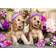 Enjoy Spaniel Puppies with Flower Hats 1000 Pieces