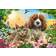 Castorland Best Pals 500 Pieces