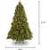 National Tree Company 6.5-ft Douglas Fir Pre-lit Traditional Artificial Christmas Tree 78"