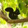 Wildlife Garden Silhouette - Squirrel Dekorationsfigur 19.5cm