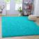 Noahas Fluffy Bedroom Rug ‎64"x 48" 48x64"