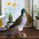 Wildlife Garden DecoBird Stock Dove Dekorationsfigur 25.4cm