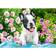 Castorland French Bulldog Puppy 500 Pieces