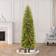 Puleo International Pre-Lit Incandescent Slim Fraser Fir Artificial Christmas Tree 120"