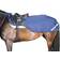 Back On Track Sammy Exercise Rug 50g