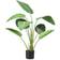 Emerald Strelitzia Kunstig plante