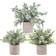 Der Rose B07VKJKFN2 Artificial Plant 3pcs