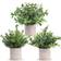 Der Rose B07VKJKFN2 Artificial Plant 3pcs