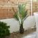 Very Phoenix Palm Artificial Plant