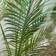 Very Phoenix Palm Artificial Plant