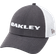 Oakley Heather New Era Hat