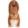 Wildlife Garden Red Squirrel Dekorationsfigur 15.8cm