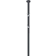 Pax Limbo M2